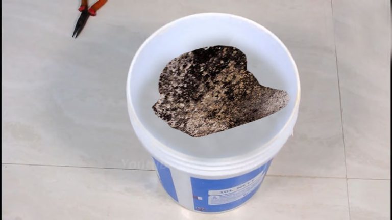 What Causes Joint Compound to Mold [And  Prevention]