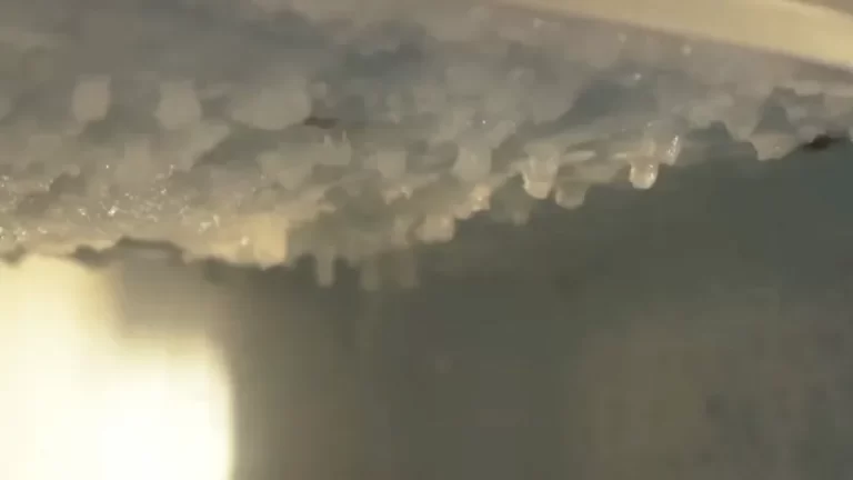 Defrosting refrigerator